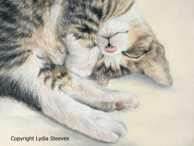 A Wee Break CP e-Packet